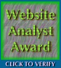 Website Analyst Award April 24, 2001